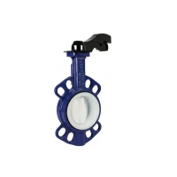 OEM Pn16/10 PTFE obloga z gumijasto prirobnico
